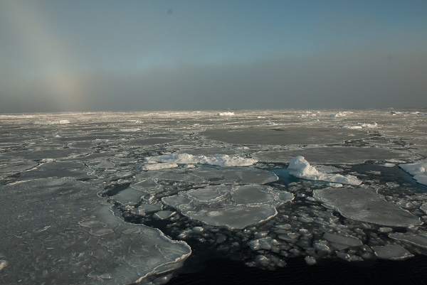 Small remnants of thicker, multiyear ice float with thinner, seasonal ice in the Beaufort Sea on Sept. 30, 2016.