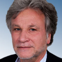 Prof. Dr. Holger H. Mey