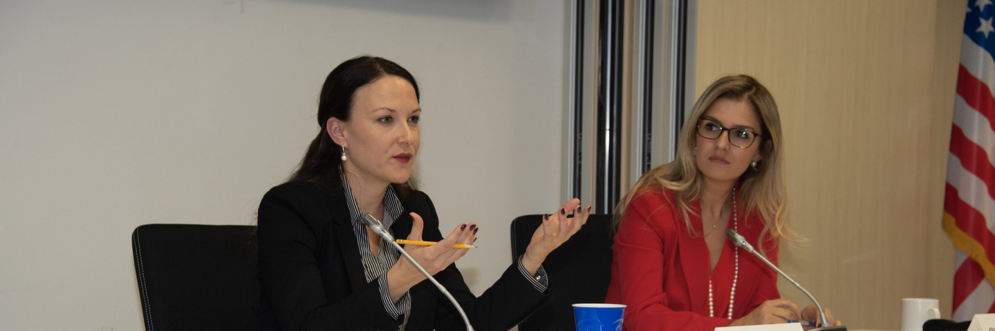 A photograph of Dr. Loftus speaking at a Security Studies Program for Ukrainian public officials at the Marshall Center.