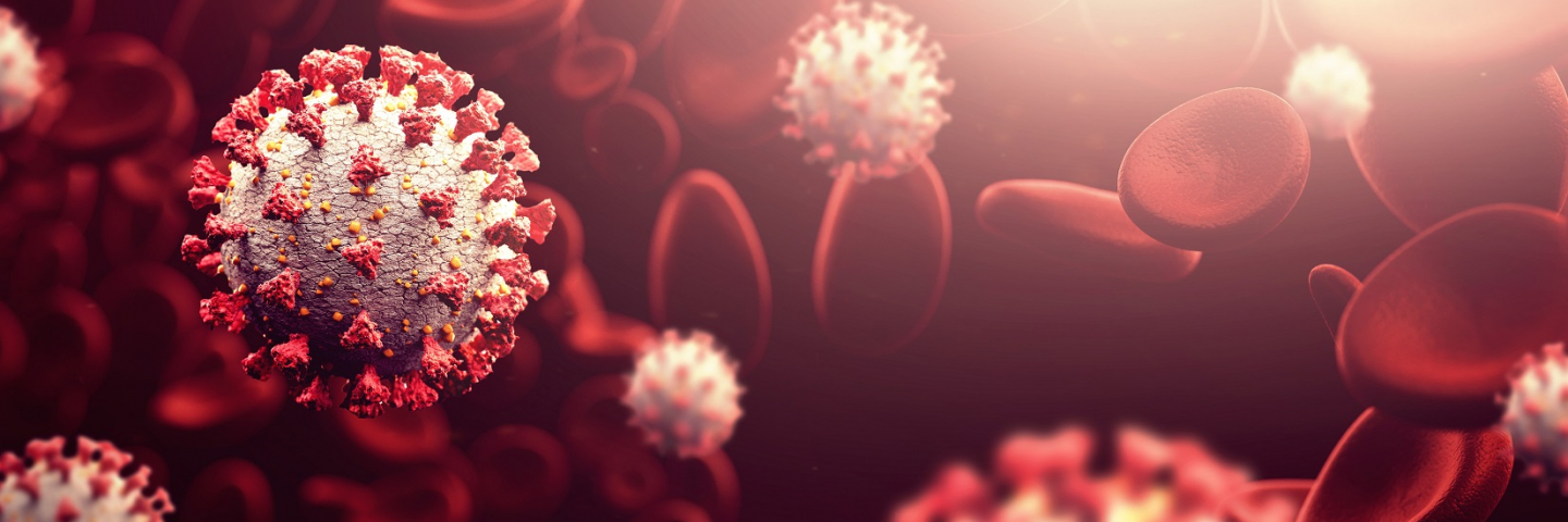 A graphic of the Coronavirus cell surrounded by red blood cells. 