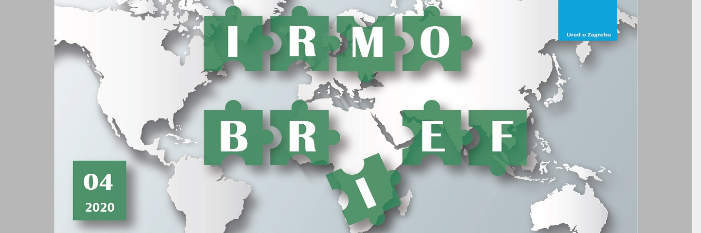 Graphic for the IRMO Brief with a world map as the background.