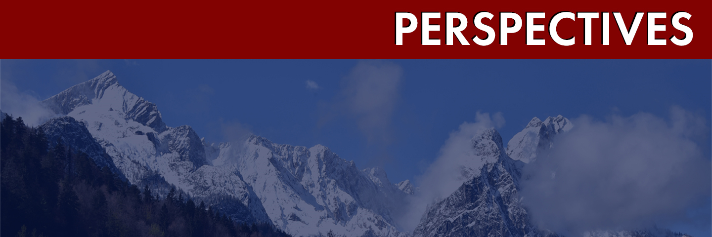 Perspectives Cover Image