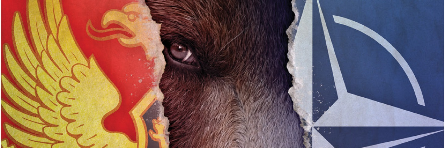 A picture of a ripped NATO and Montenegro flag with a moose in the middle.