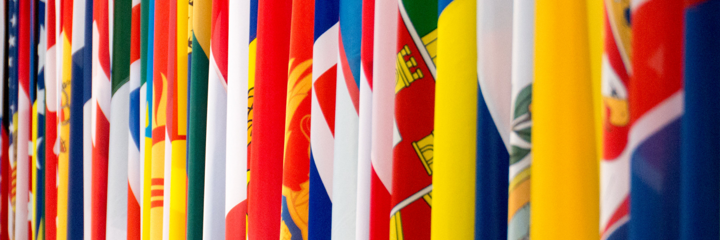 Flags of OSCE