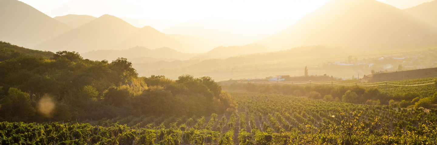 Sunset over rural Crimea