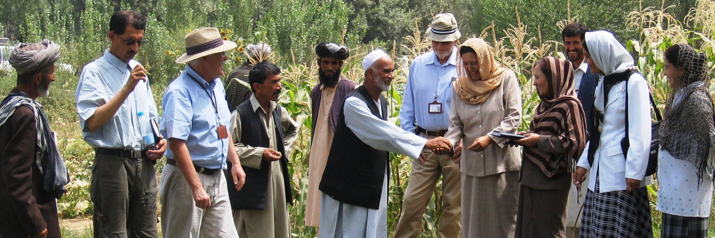 Afghan people in community