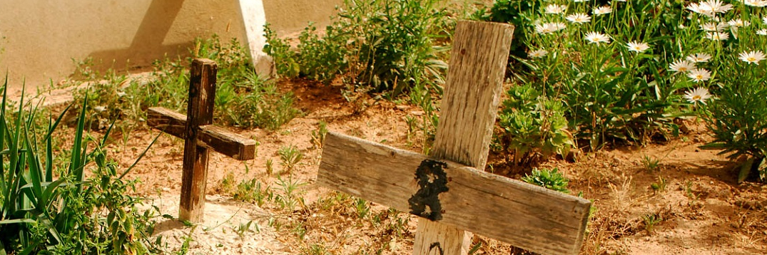 Photo of crosses in Lampedusa Cemetry