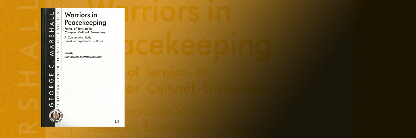 Cover of Warriors in Peacekeeping: Points of Tension in Complex Cultural Encounters