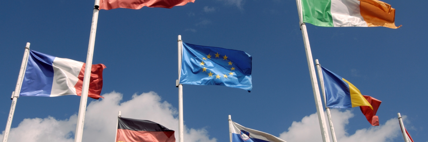 EU Flag and members of the EU flags flying