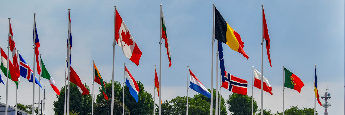 2024 Policy Brief Cover - NATO Flags