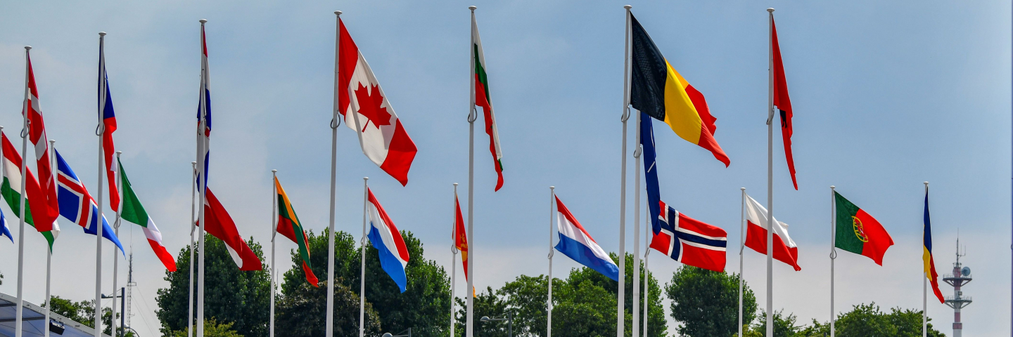 Cover Photo Policy Brief - resized - NATO Flags