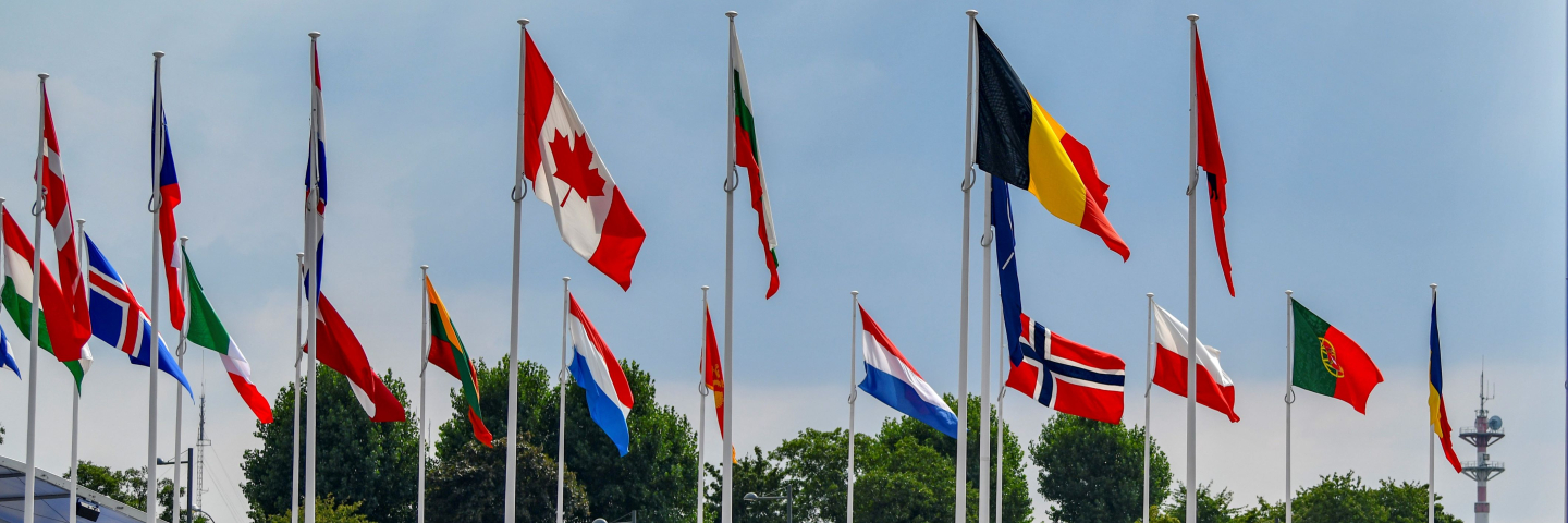 Policy Brief Cover Photo