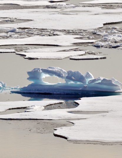 A melting ice floe in the Arctic Ocean resembles an alligator Aug. 12, 2009.