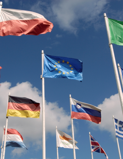 EU Flag and members of the EU flags flying