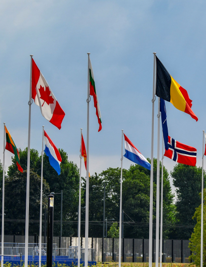 2024 Policy Brief Cover - NATO Flags