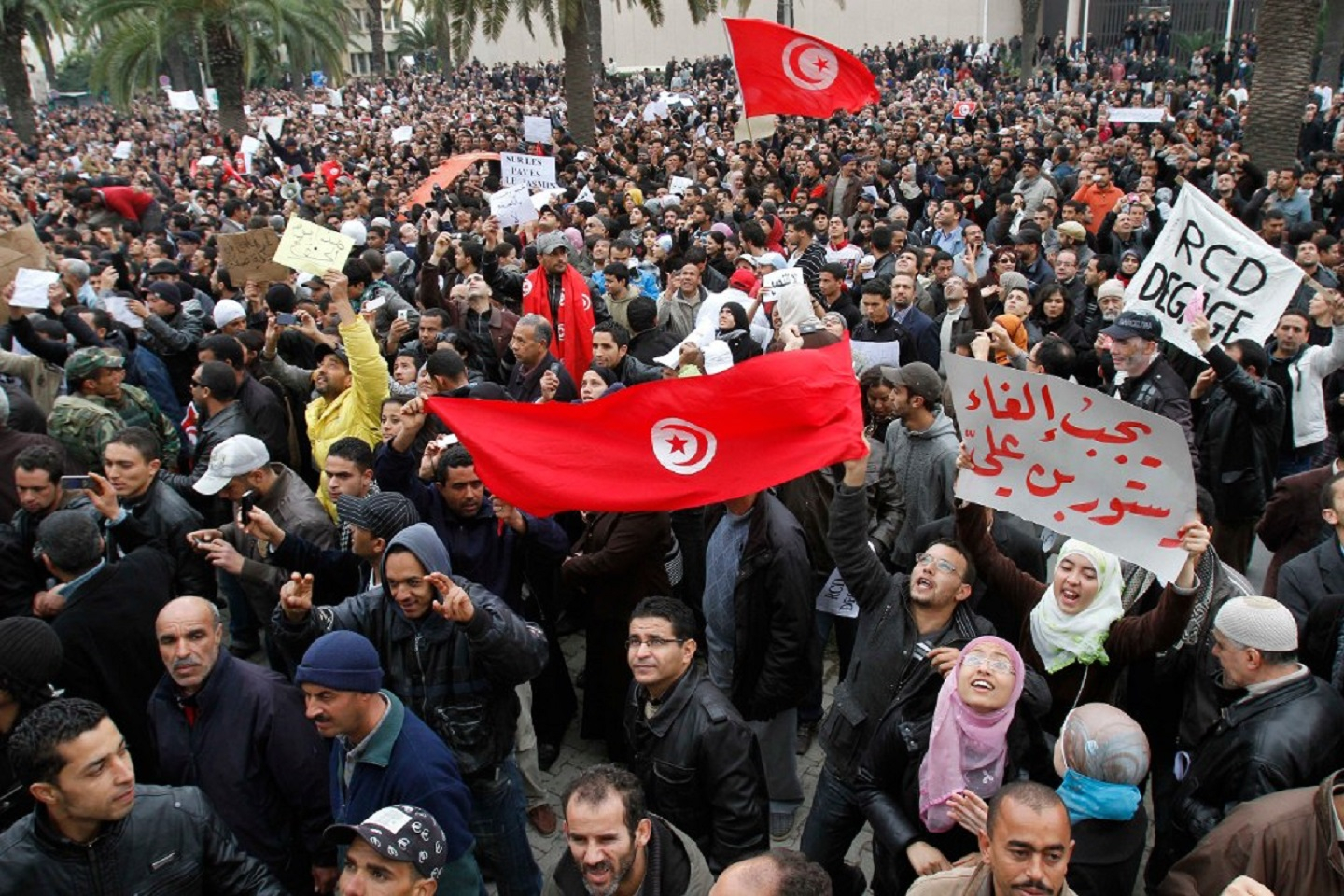 The Arab Spring