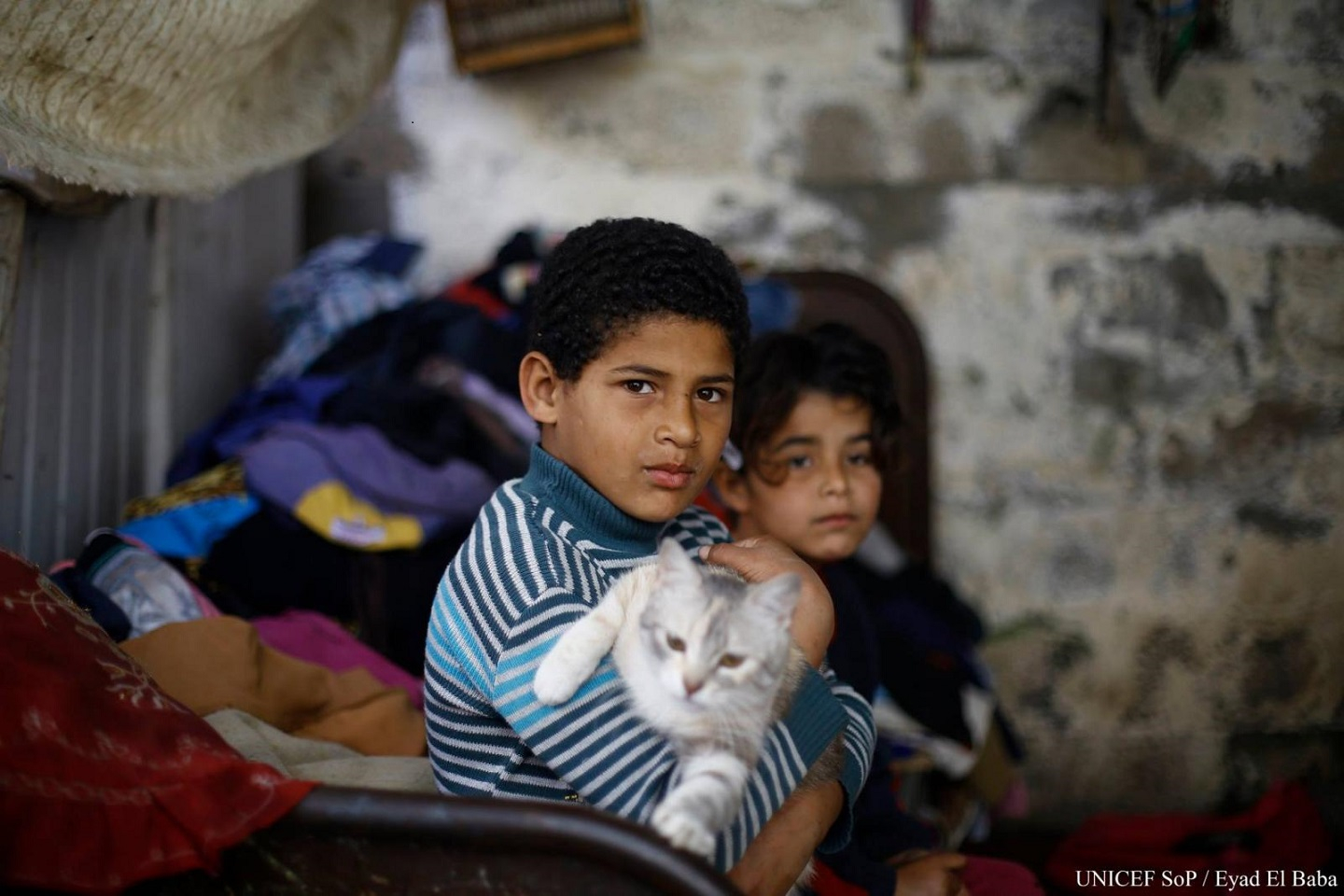 Two small Palestine boys with a cat.