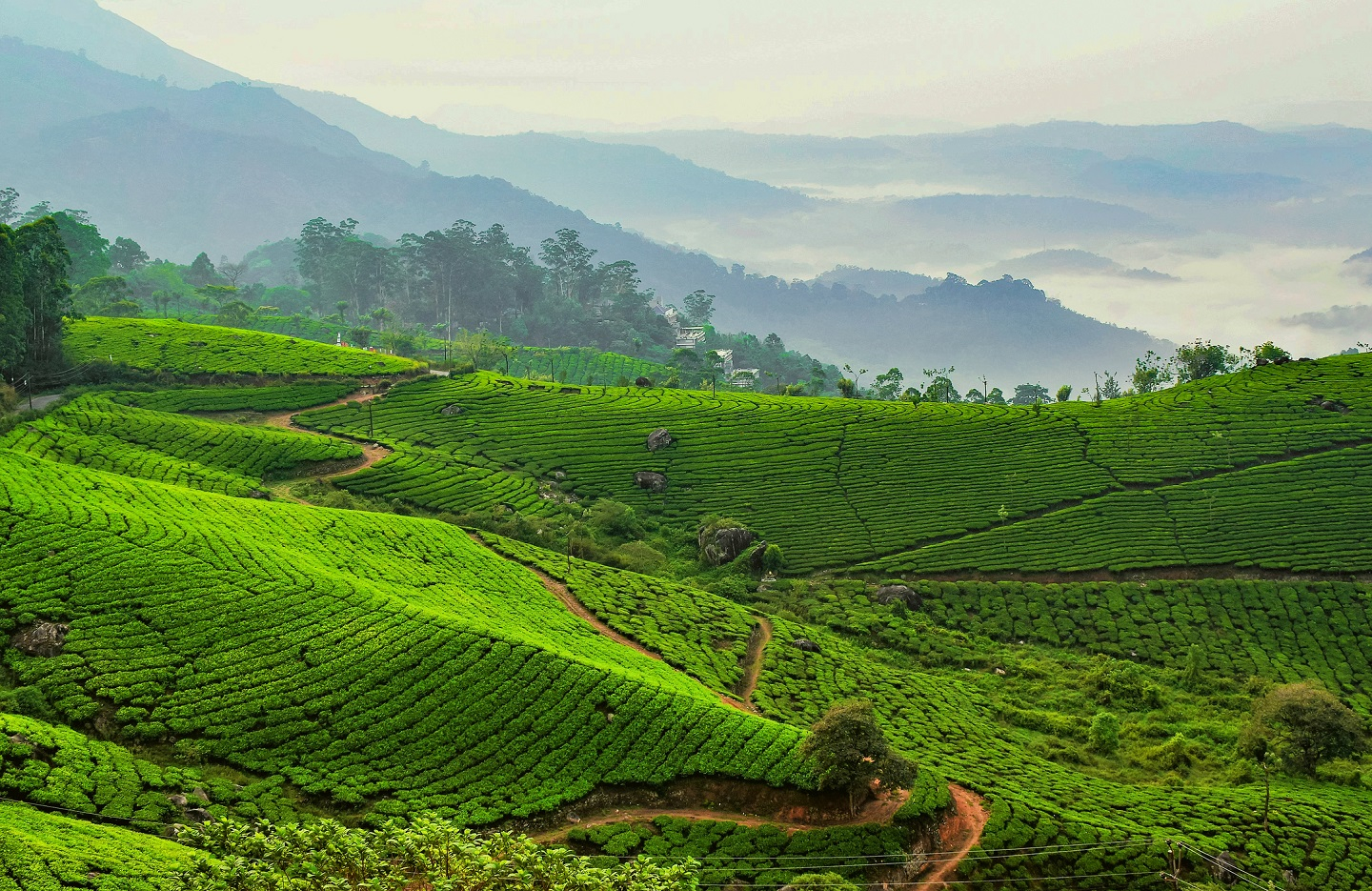 Countryside of Asia