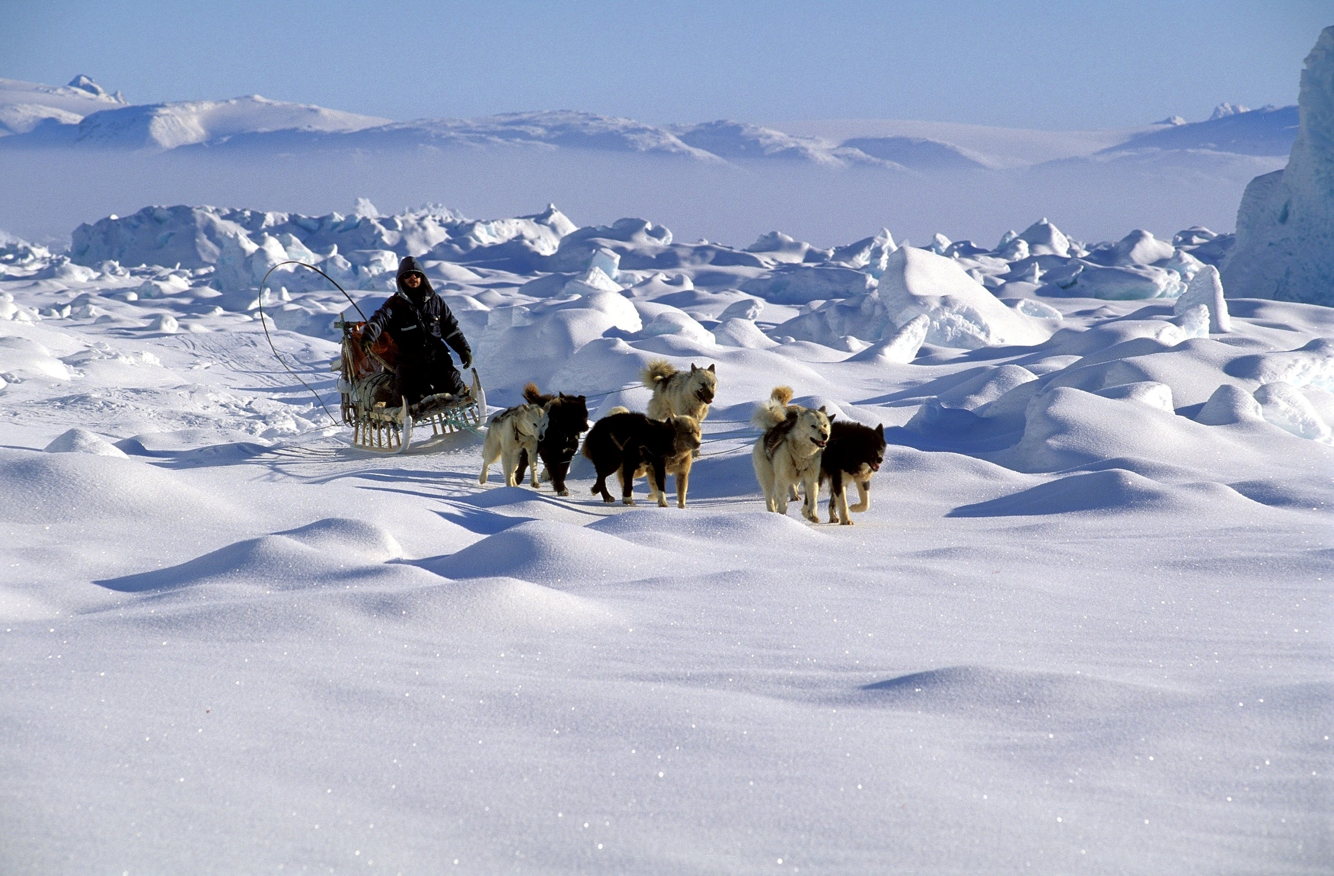 Husky Hitch On The Frozen Fjord Of Sermilik, In Greenland In 1997-The Greenlandic in the east coast of Greenland always travel with their dogs during the long winter period.