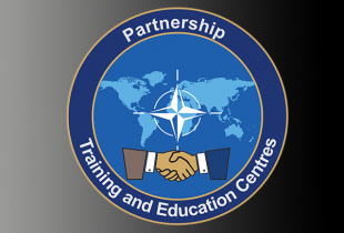 PLTCE Language Standards and Assessment Seminar (LSAS) Graphic