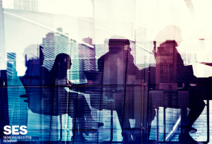 Senior Executive Seminar (SES) Graphic