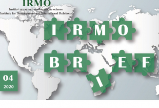 Graphic for the IRMO Brief with a world map as the background.