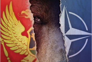A picture of a ripped NATO and Montenegro flag with a moose in the middle.