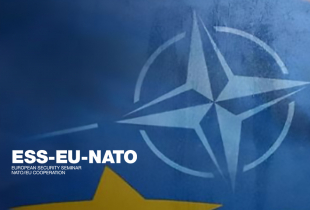 Course ESS EU NATO Web Graphic