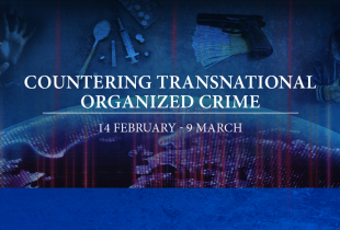 Program on Countering Transnational Organized Crime (CTOC) Event Graphic
