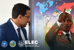 English Language Enhancement Courses (ELEC)