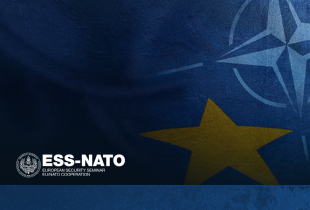 Course ESS EU NATO Web Graphic