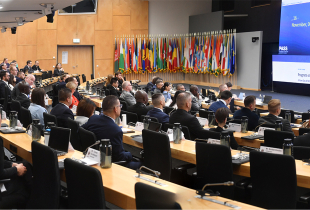 A large group of participants sit in an auditorium facing a stage where a speaker addresses them at a podium. Behind the speaker, a large screen displays the Program on Applied Security Studies dates and participant information, with rows of international flags lining the wall.