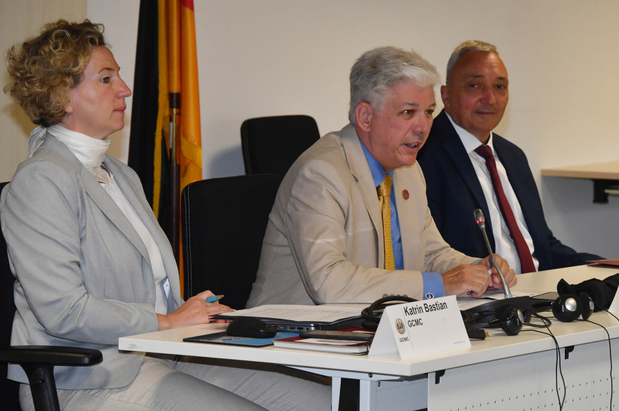 photo Of GCMC Faculty and Leadership at EU as a Strategic Actor Working Group 