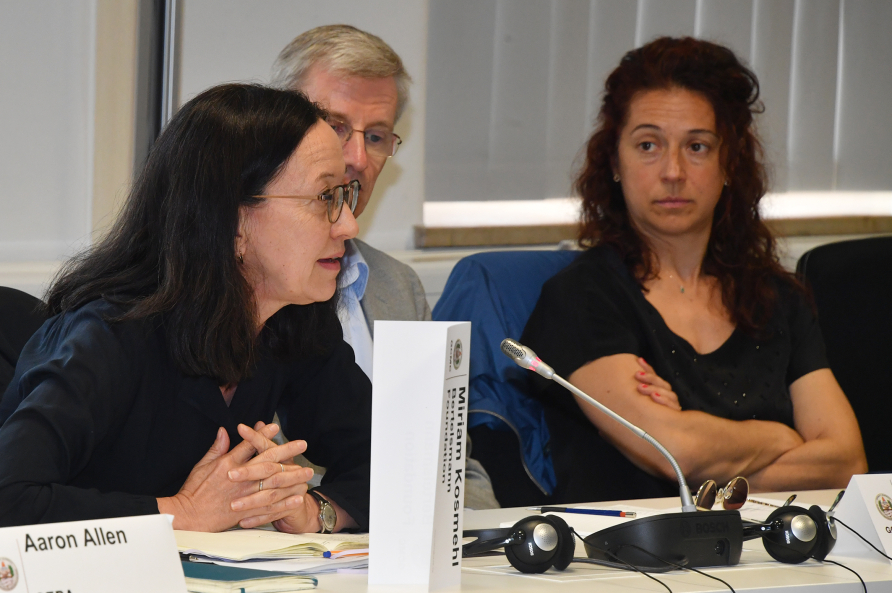 Photo of Participants EU as a Strategic Actor