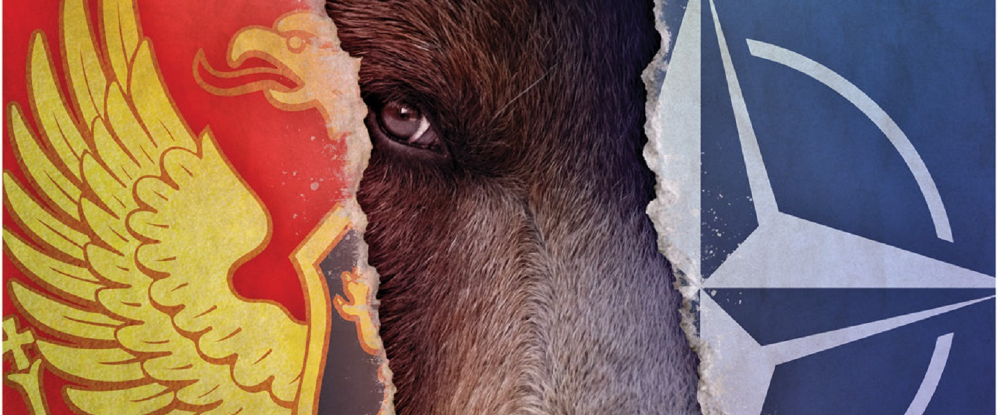 A picture of a ripped NATO and Montenegro flag with a moose in the middle.
